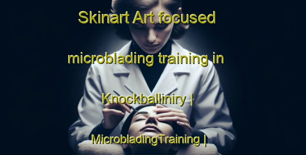 Skinart Art-focused microblading training in Knockballiniry | MicrobladingTraining | MicrobladingClasses | SkinartTraining-Ireland